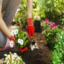 الرئيسية - My Landscape website الرئيسية